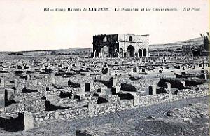 ALGERIE-RUINES ROMAINES DE LAMBESE (12)